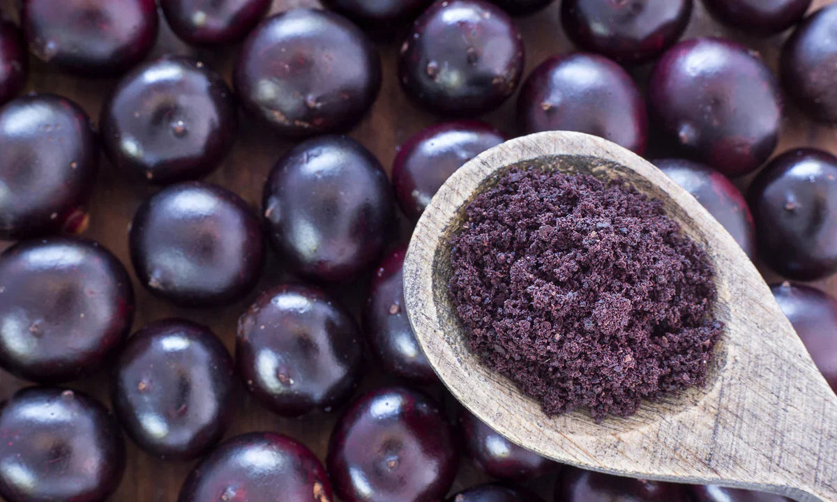Berry Powder Man Sweet, Tangy, and Shelf-Stable: Why You’ll Love This Berry Powder
