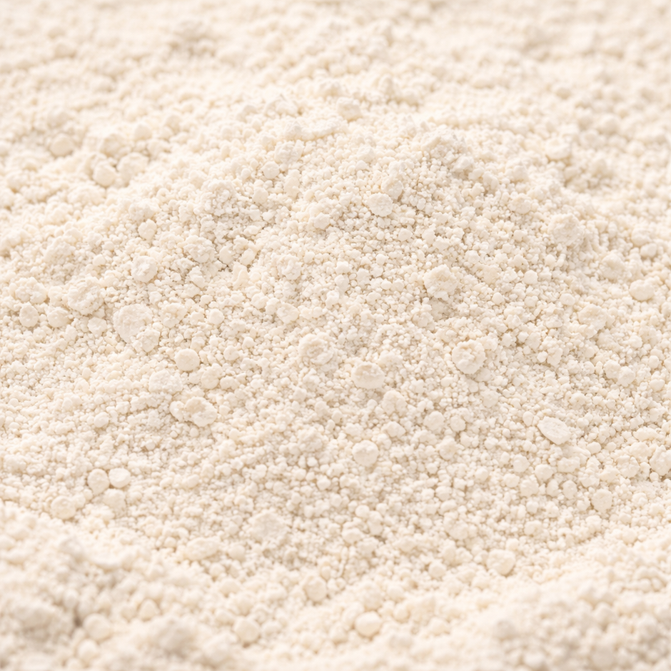 Organic Rice Protein