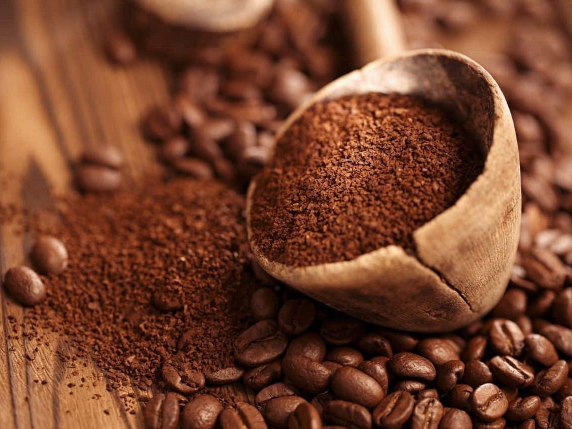 Robusta Coffee