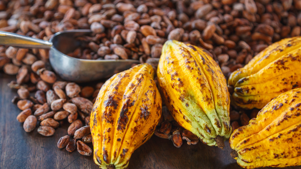 Cacao & Coffee