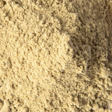 Protéine de graines de citrouille bio 70 %