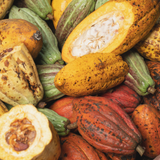 Cacao Nibs - Organic Ecuador