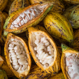 Cacao Nibs - Organic Ecuador
