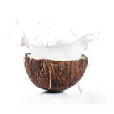 Coconut Milk Powder - Organic
