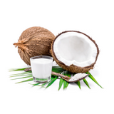 Coconut Milk Powder - Organic