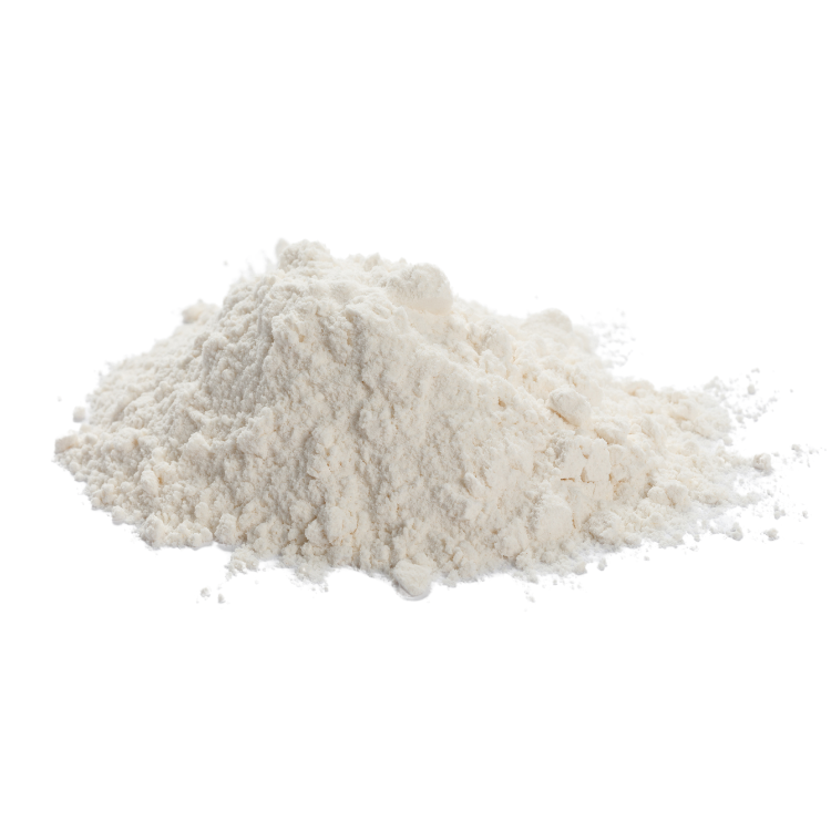 Coconut Milk Powder - Organic