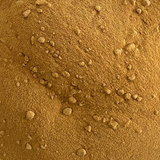 Poudre de citrouille