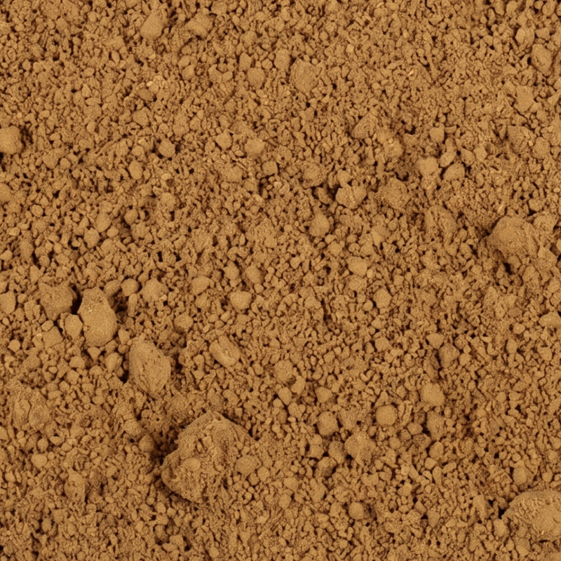 Organic Reishi Mushroom Powder