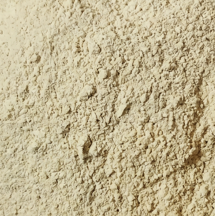 Poudre de crinière de lion biologique