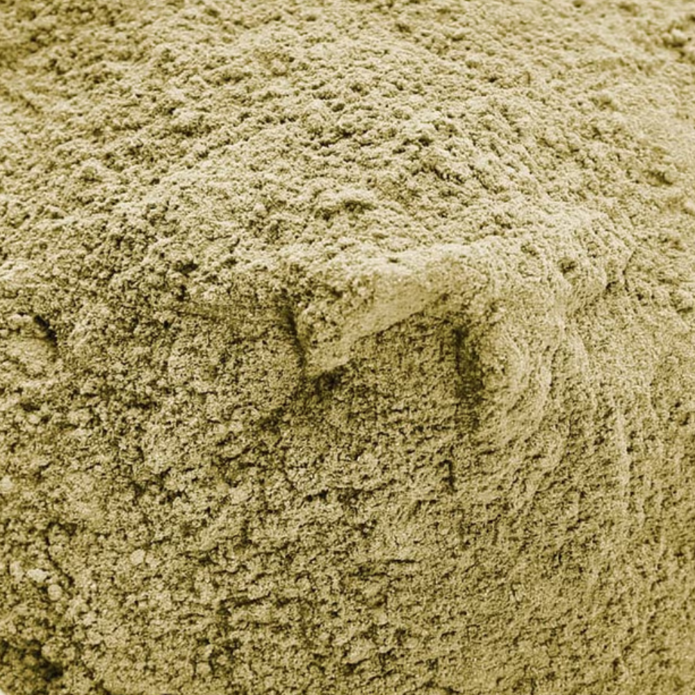 Organic Hemp Protein 55%