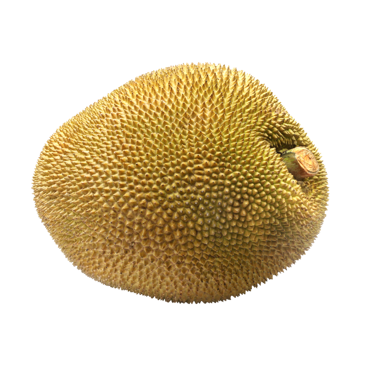 Jackfruit - Organic